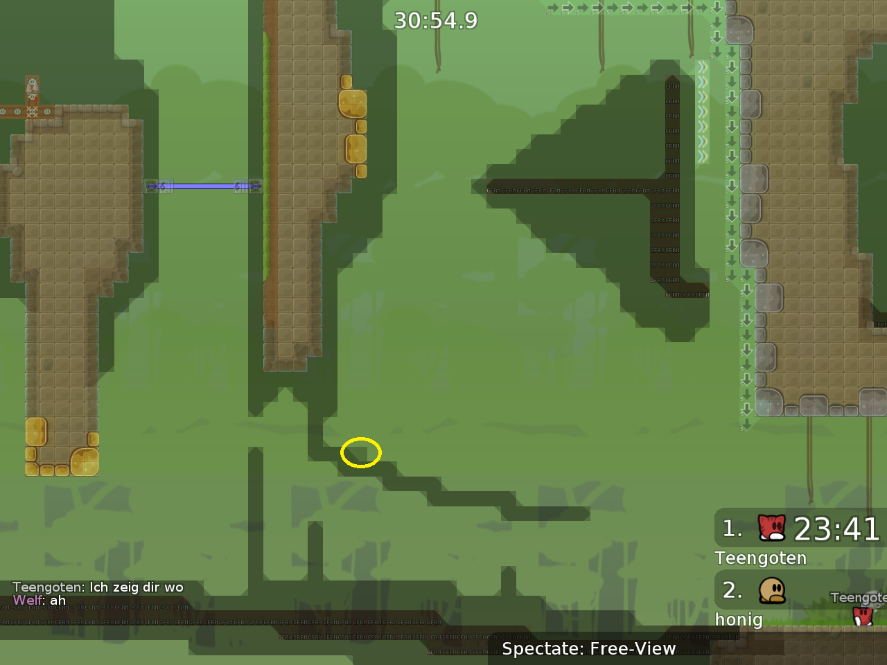small entitie bug