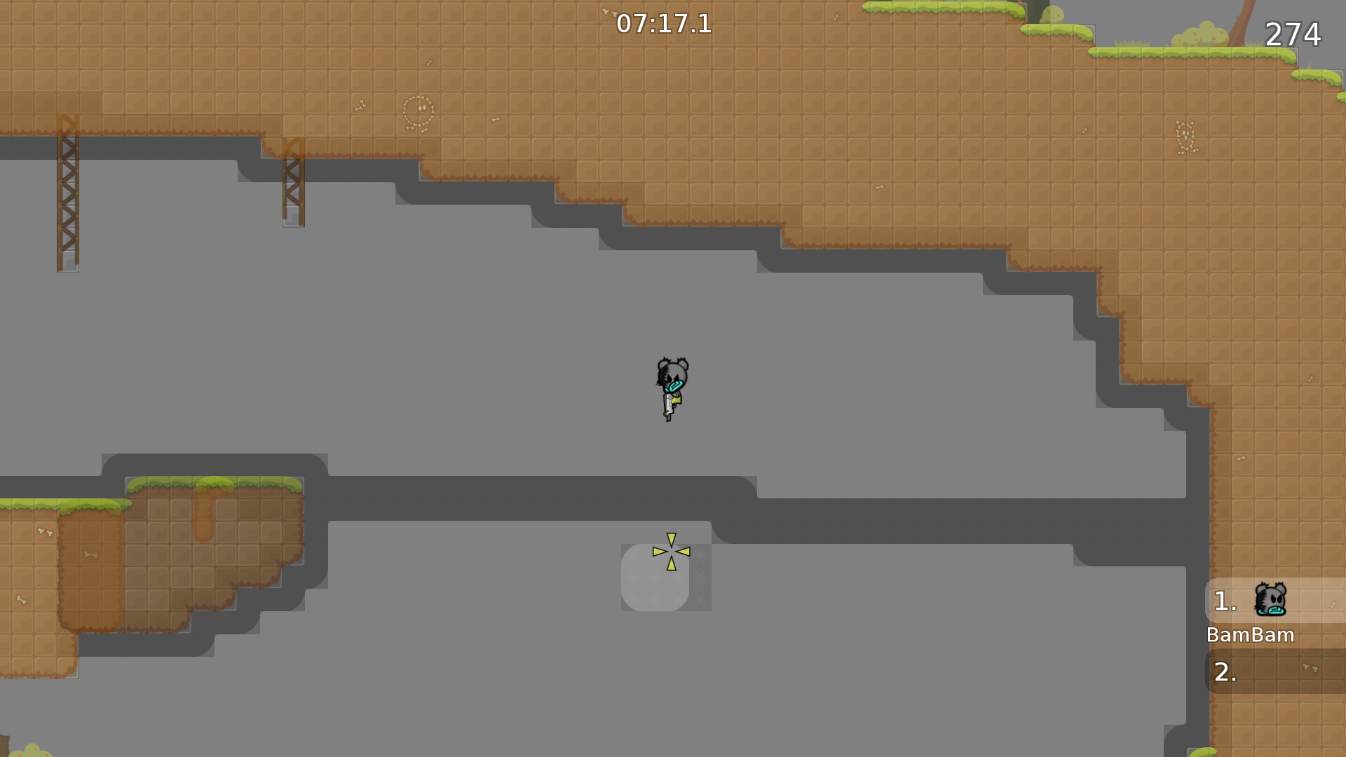 Entitie bug.